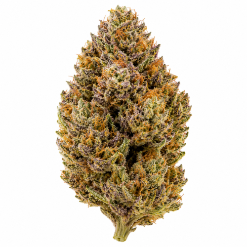 bubblegum.png Bubblegum Feminized Seeds