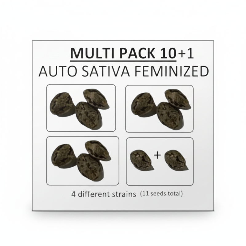 image-cache.webp Multi Pack 10 AUTO Sativa Feminized Seeds